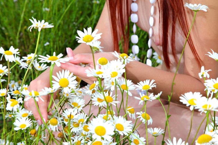 Naga girl with daisies