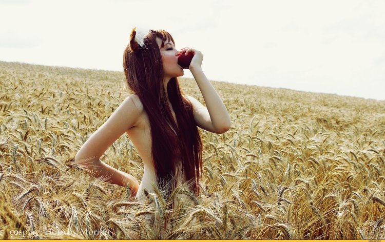 Girl in the field of wheat