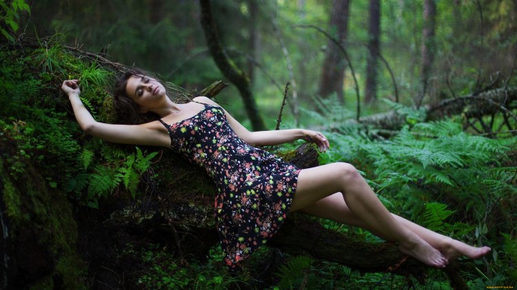 Photo shoot in the forest in the summer