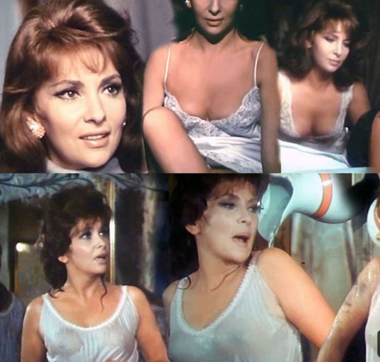 Gina lollobrida Erotica