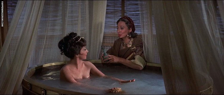 Gina lollobrida Erotica