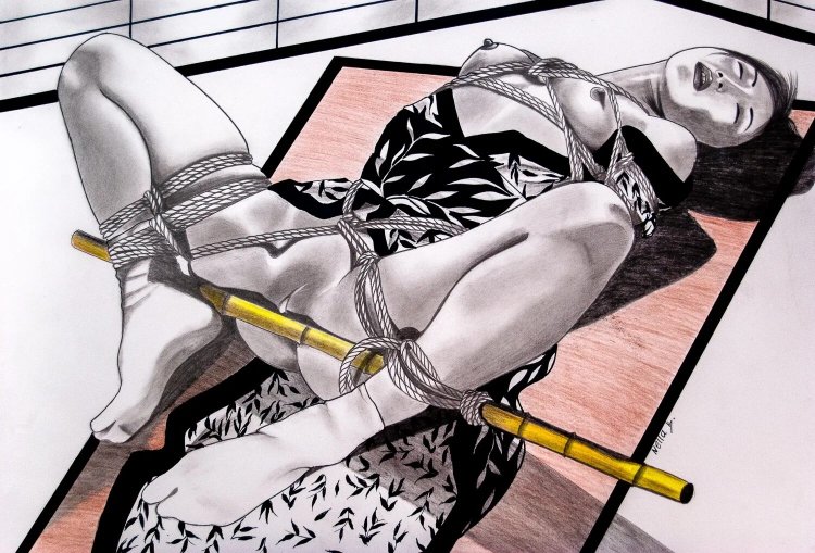 Shibari art