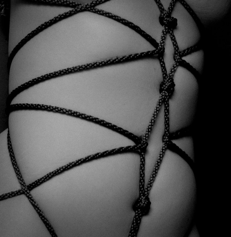 Shibari kinbak