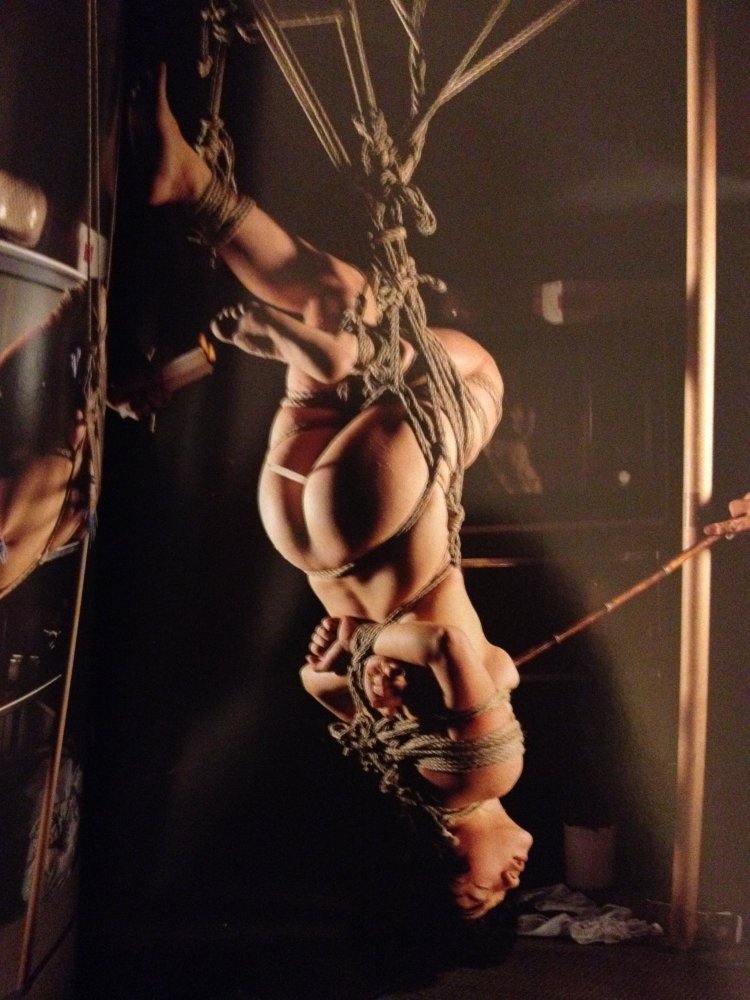 Shibari suspended